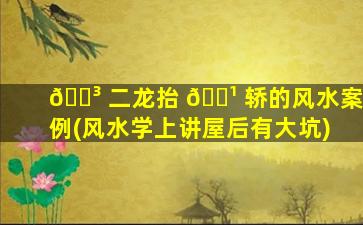 🐳 二龙抬 🌹 轿的风水案例(风水学上讲屋后有大坑)